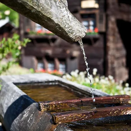 Ramona Apartamento *